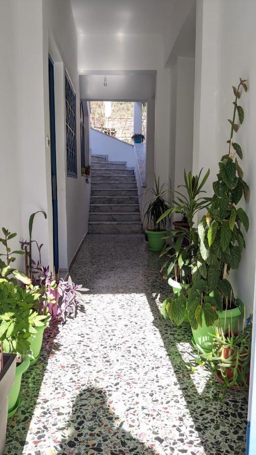 לאונידיון Small House For Holidays מראה חיצוני תמונה